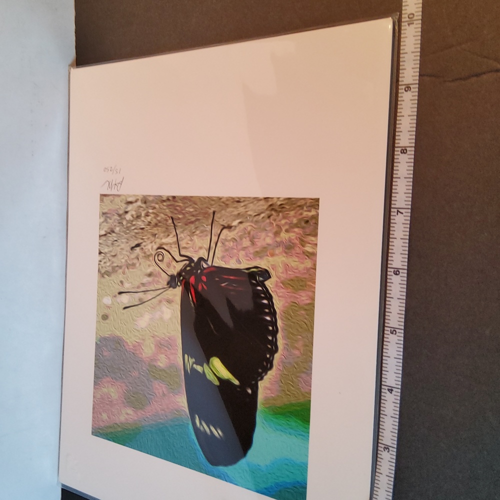 Butterfly print 15/250 Peter James Maurer - Picture 4 of 8
